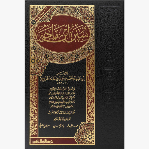 WhatsApp Image 2024-04-07 at 17.12.50